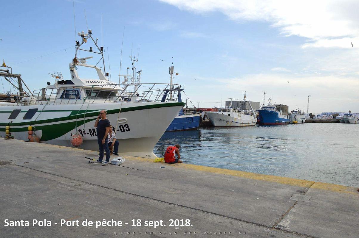 11 SANTA POLA PORT DE PECHE (89).JPG